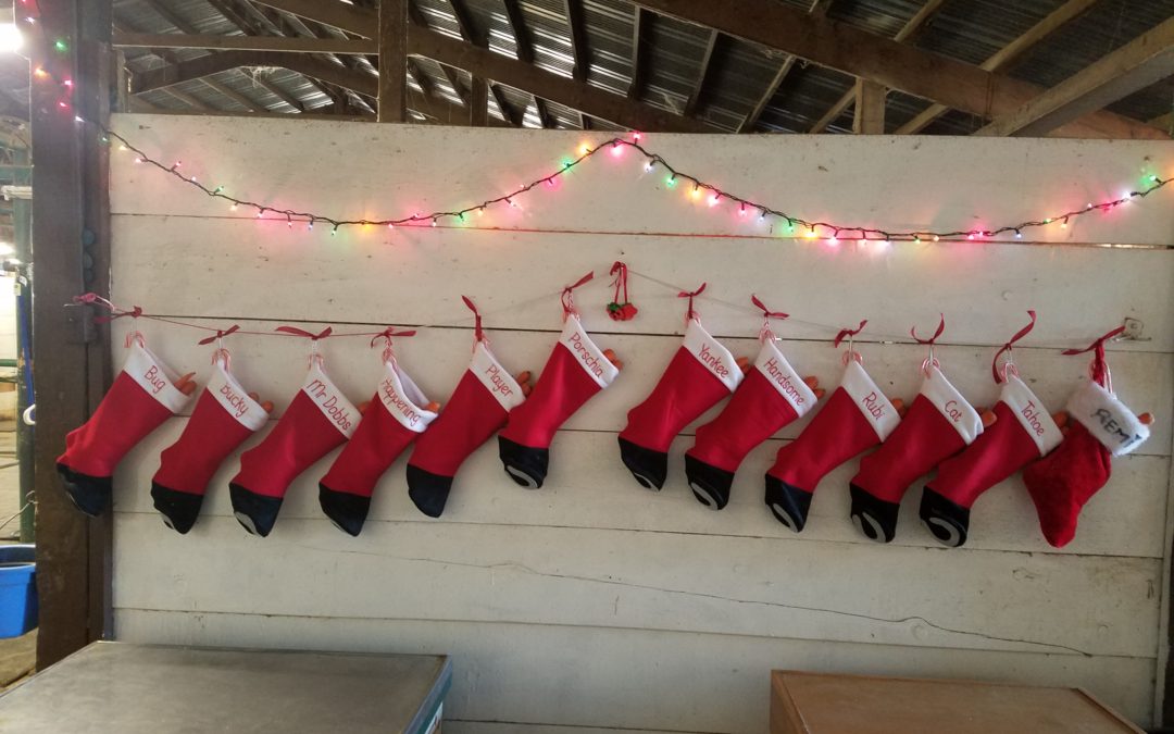 And the stockings were hung…
