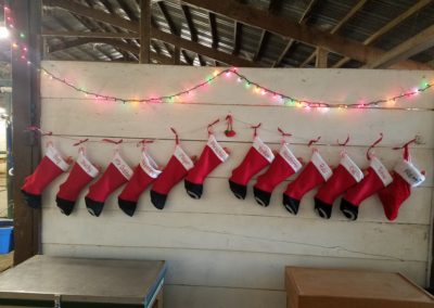 And the stockings were hung…